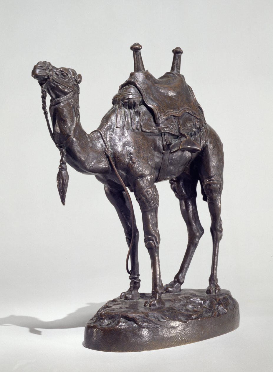 Egyptisk Dromedar med Sele (bronze) af Antoine Louis Barye
