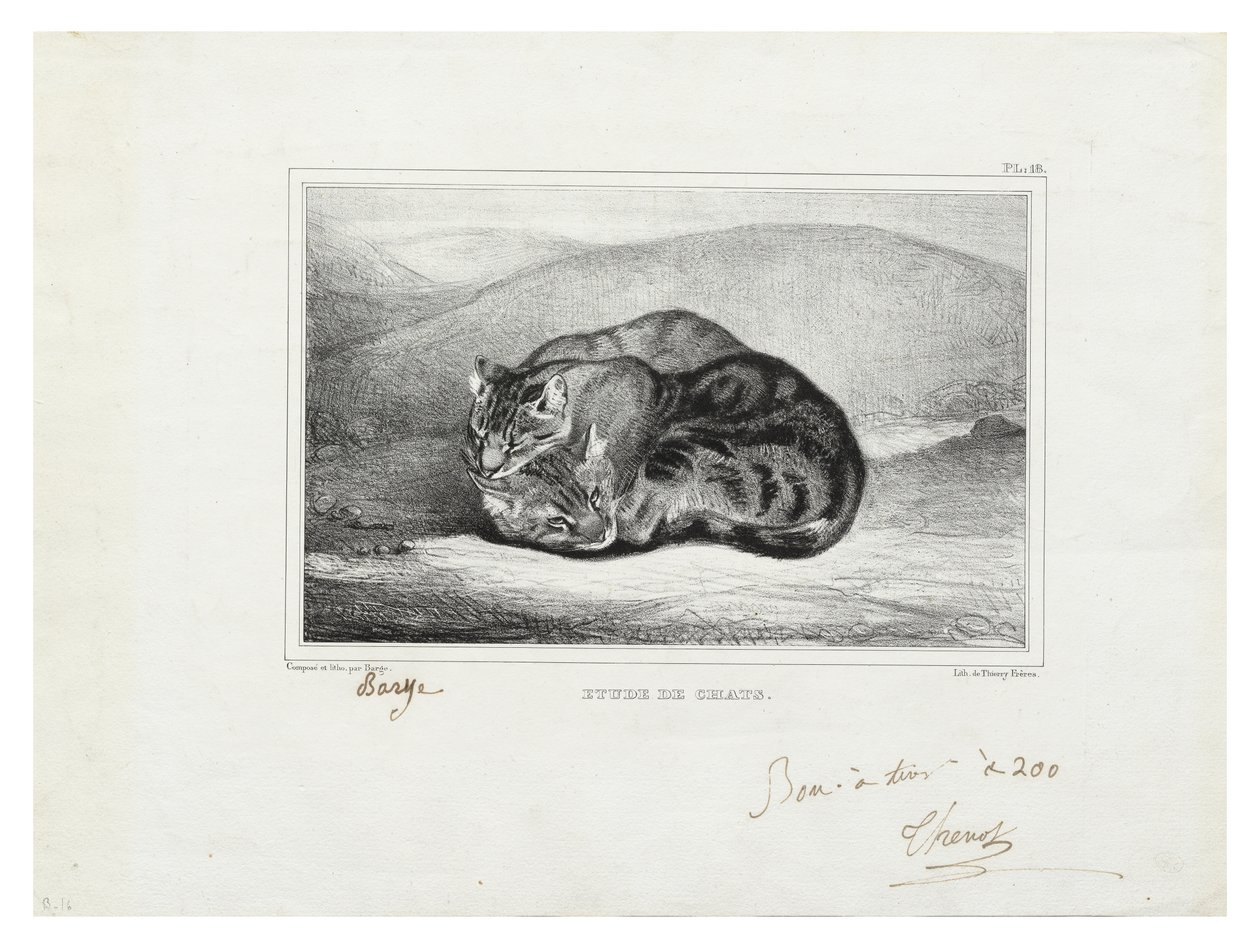 undersøgelse af katte af Antoine Louis Barye