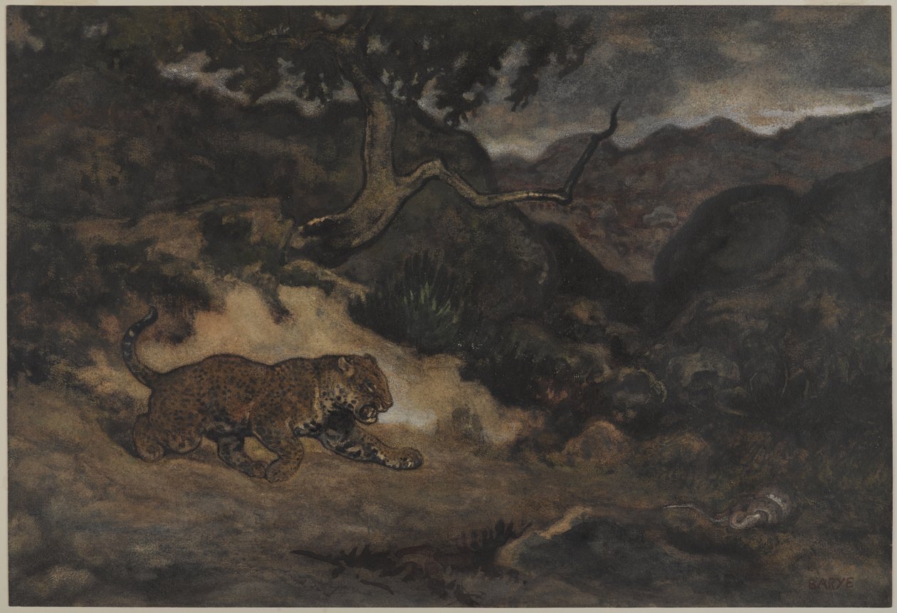 Jaguar Discovering a Snake, ca. 1840 (wc på papir) af Antoine Louis Barye