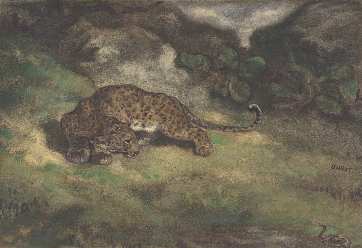 Leopard og slange, 1810-75 (wc på bindet papir) af Antoine Louis Barye