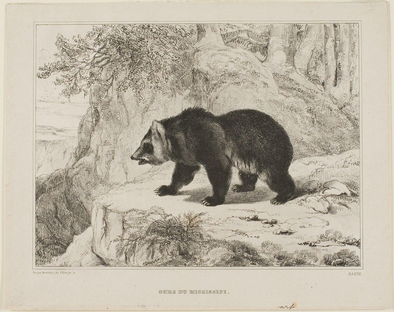 Mississippi Bjørn af Antoine Louis Barye