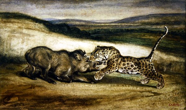 Panter i kamp mod et vildsvin (akvarel) af Antoine Louis Barye
