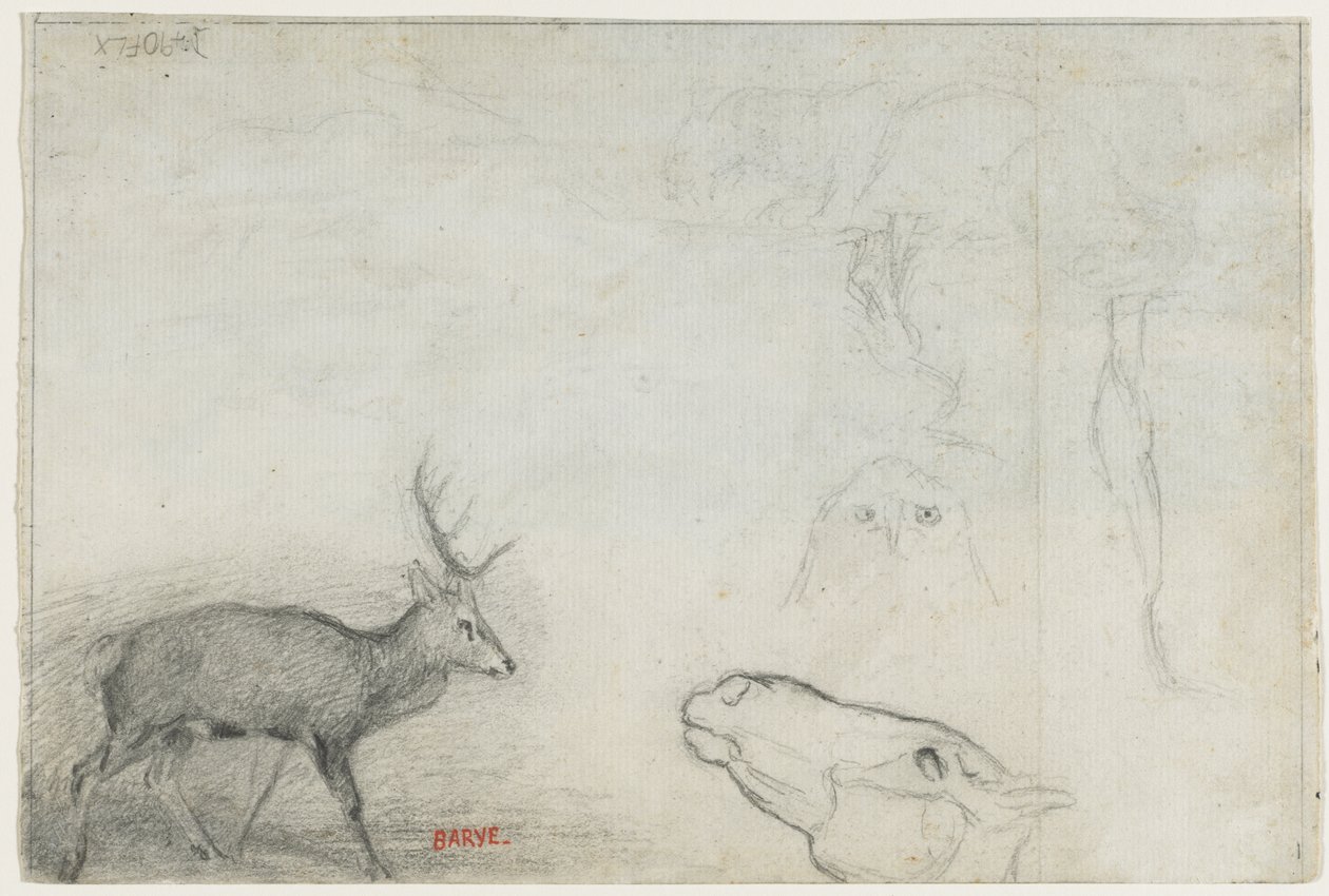 Studier af dyr (verso) af Antoine Louis Barye