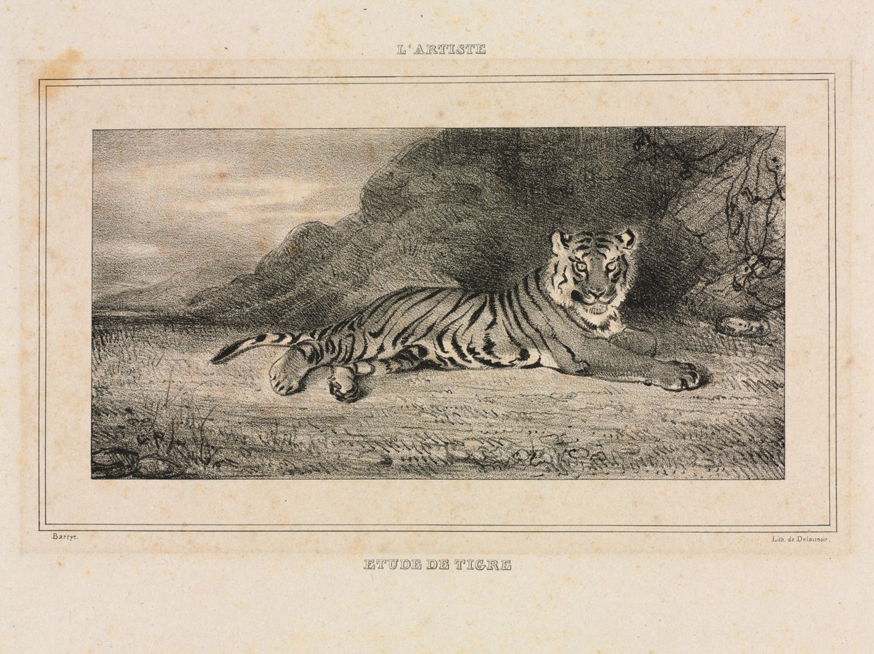Studie af en tiger af Antoine Louis Barye