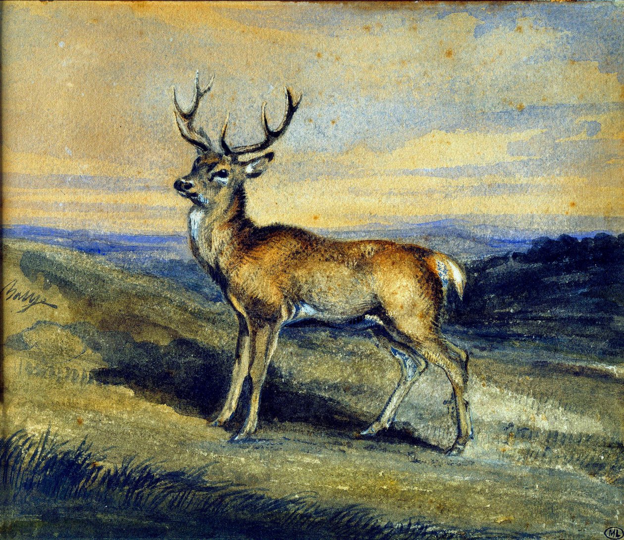 The deer. Painting by Antoine Louis Baryedani af Antoine Louis Barye