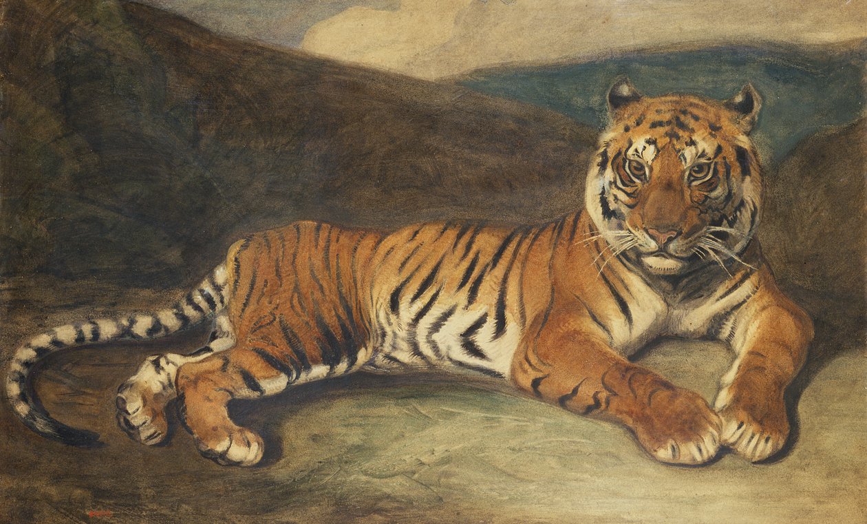 Tiger Reclining (wc på papir) af Antoine Louis Barye