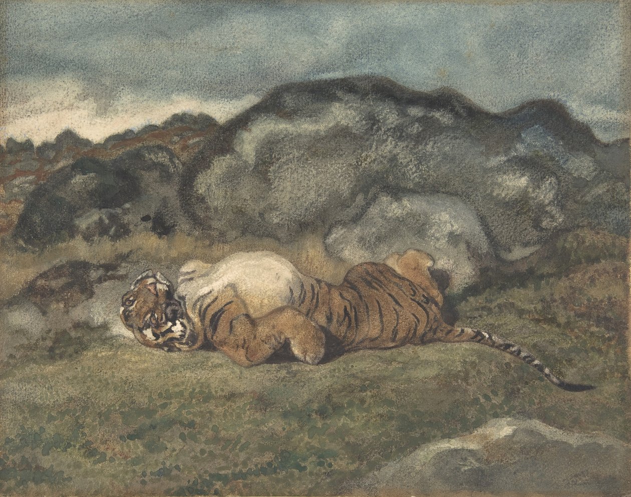 Tiger ruller på ryggen, 1810-75. af Antoine Louis Barye