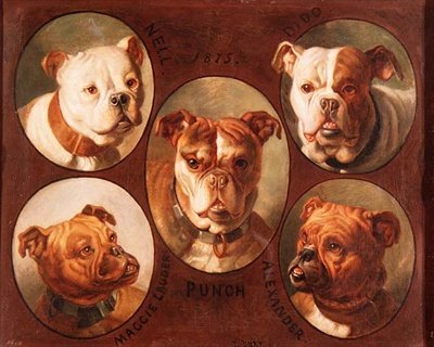 Nell, Dido, Punch, Maggie lauder og Alexander, engelske bulldogs af Antoine or Tony Dury
