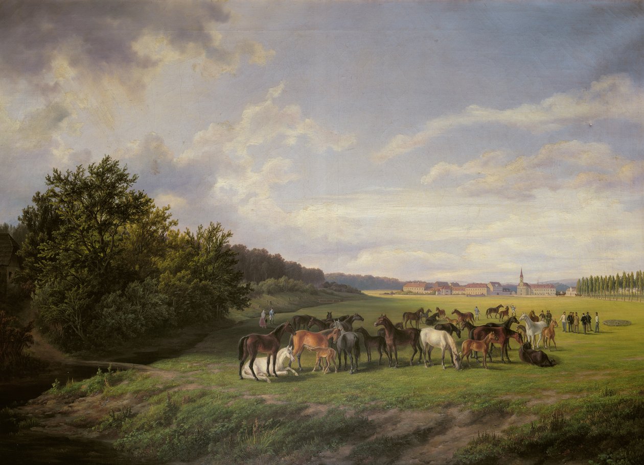 Udsigt over Kladrub Studfarm i Bøhmen, 1850 af Anton Schiffer