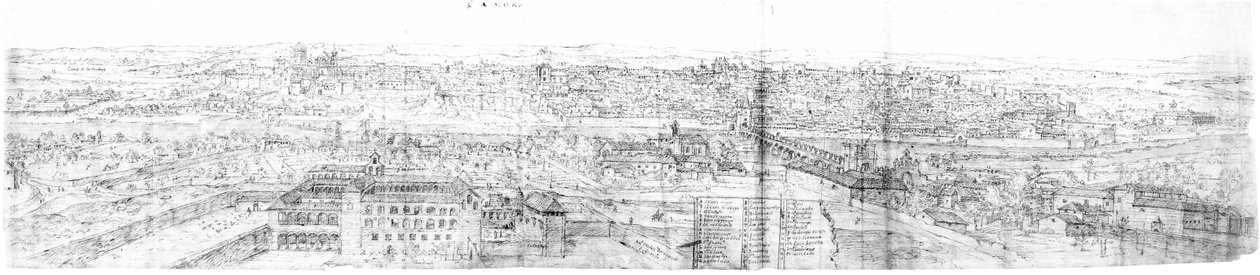 Udsigt over Zamora (Spanien) af Anton van den Wyngaerde