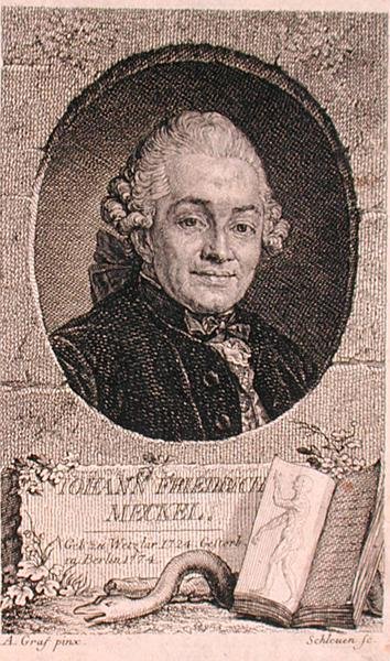 Portræt af Johann Friedrich Meckel (1724-76) graveret af John Schleuen (fl.1740-74) (stik) af Anton (after) Graff