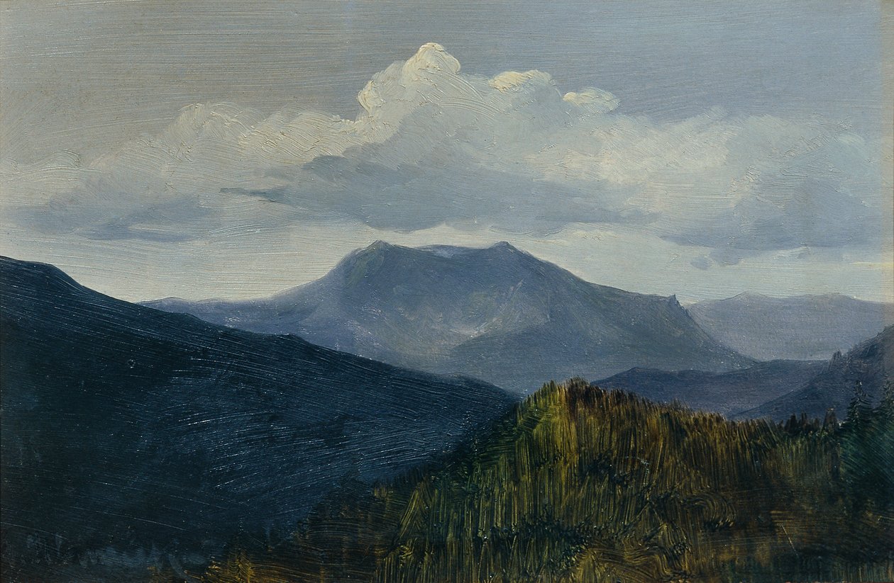 Schneeberg nær Gutenstein af Anton Hlavacek