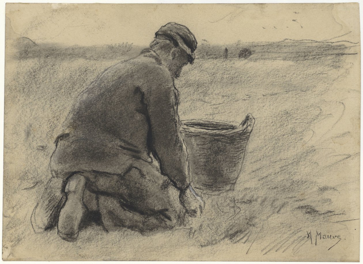 kartoffeloptager af Anton Mauve