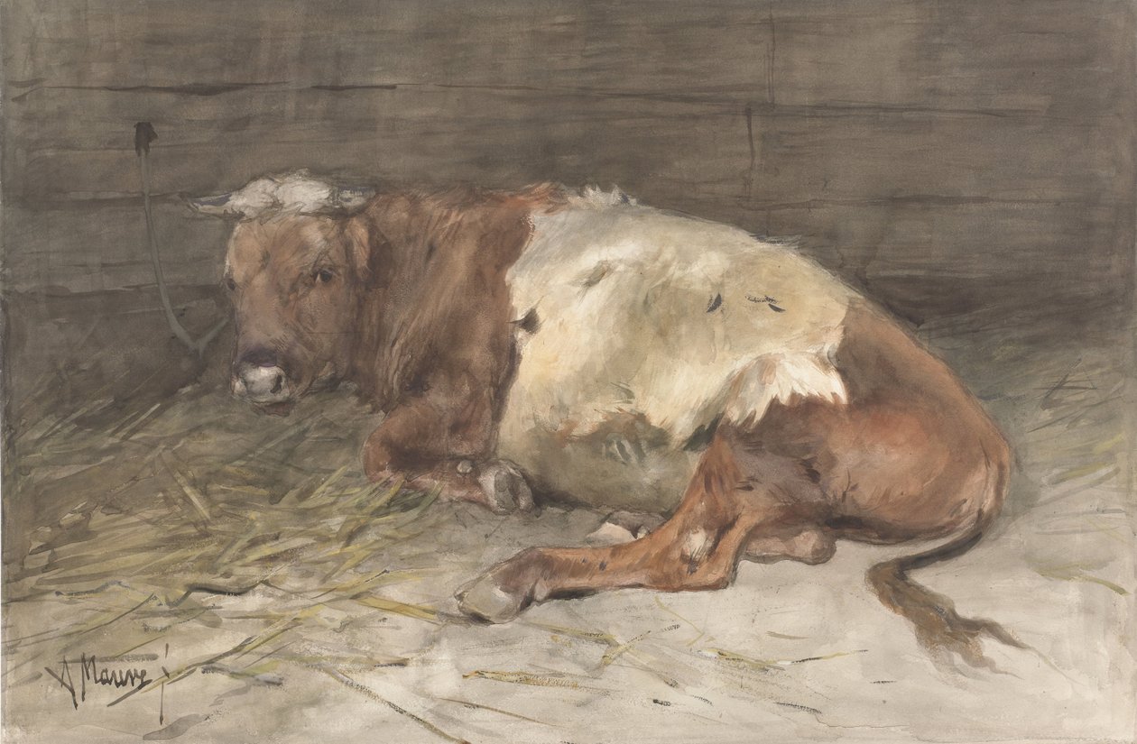 Løgnende ungtyr af Anton Mauve