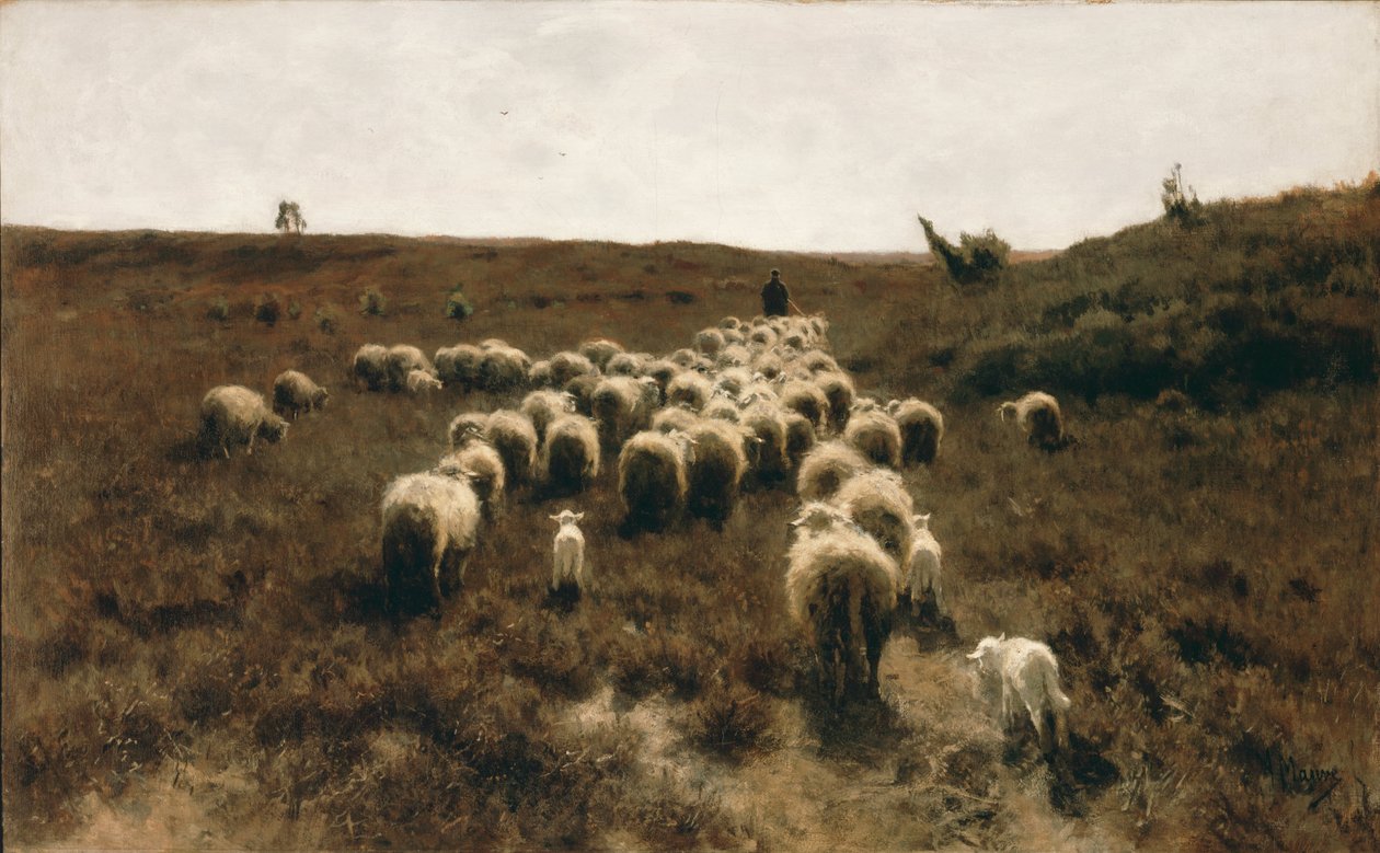 Flokkens tilbagevenden, Laren af Anton Mauve