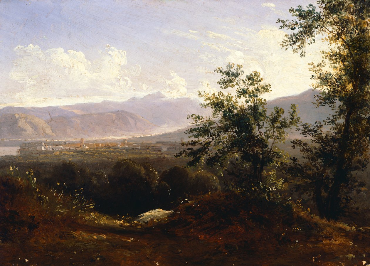 Udsigt over Sorrento fra Kap (olie på lærred) af Anton Sminck Pitloo