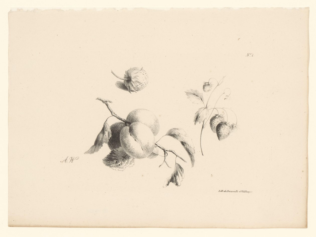 Abrikoser og jordbær Blomster og frugter (serietitel) af Anton Weiss