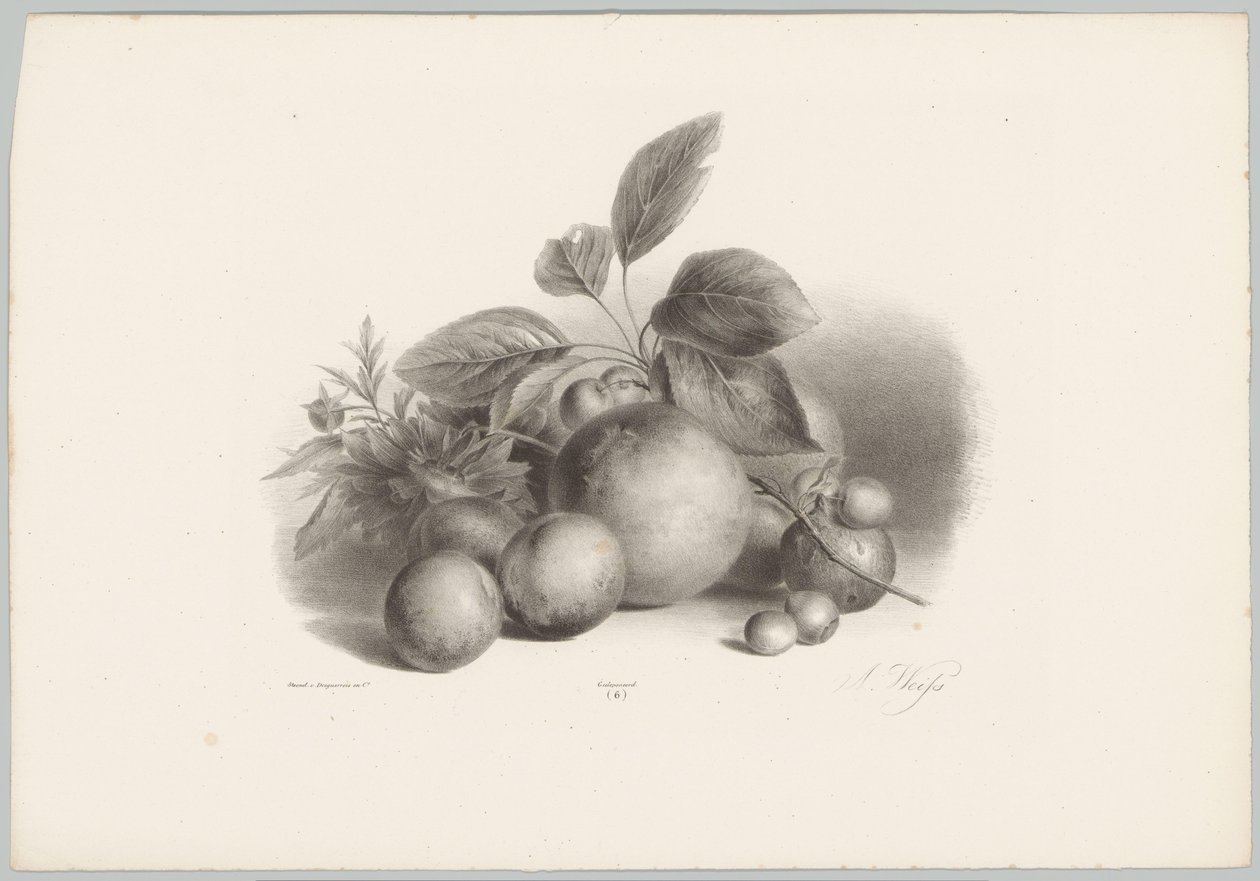 Blomster, nektariner og hasselnødder Blomster- og frugtstudier (...) 10. afsnit (serietitel) af Anton Weiss