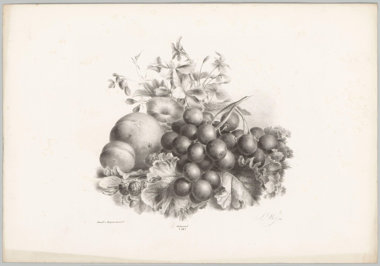 Blomster, fersken, nektarin, vindruer og brombær Blomster- og frugtstudier (...) 10. afsnit (serietitel) af Anton Weiss