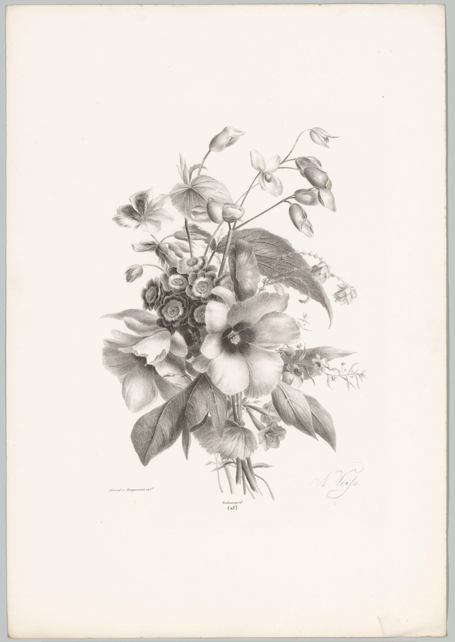 Forskellige blomster Blomster- og frugtstudier (...) 10. afsnit (serietitel) af Anton Weiss