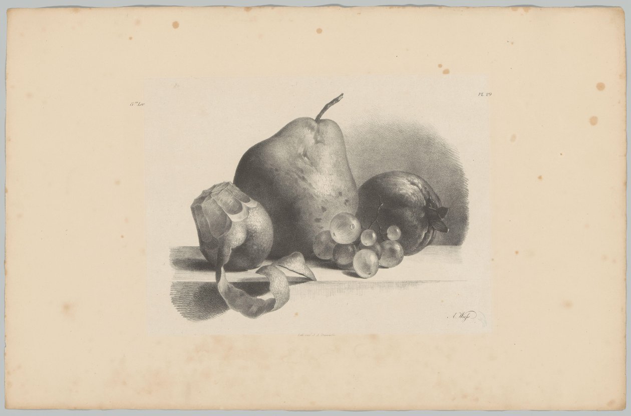 Pære, fersken, vindruer og skrællet citron Blomster- og frugtstudier (...) 3. afsnit (serietitel) af Anton Weiss