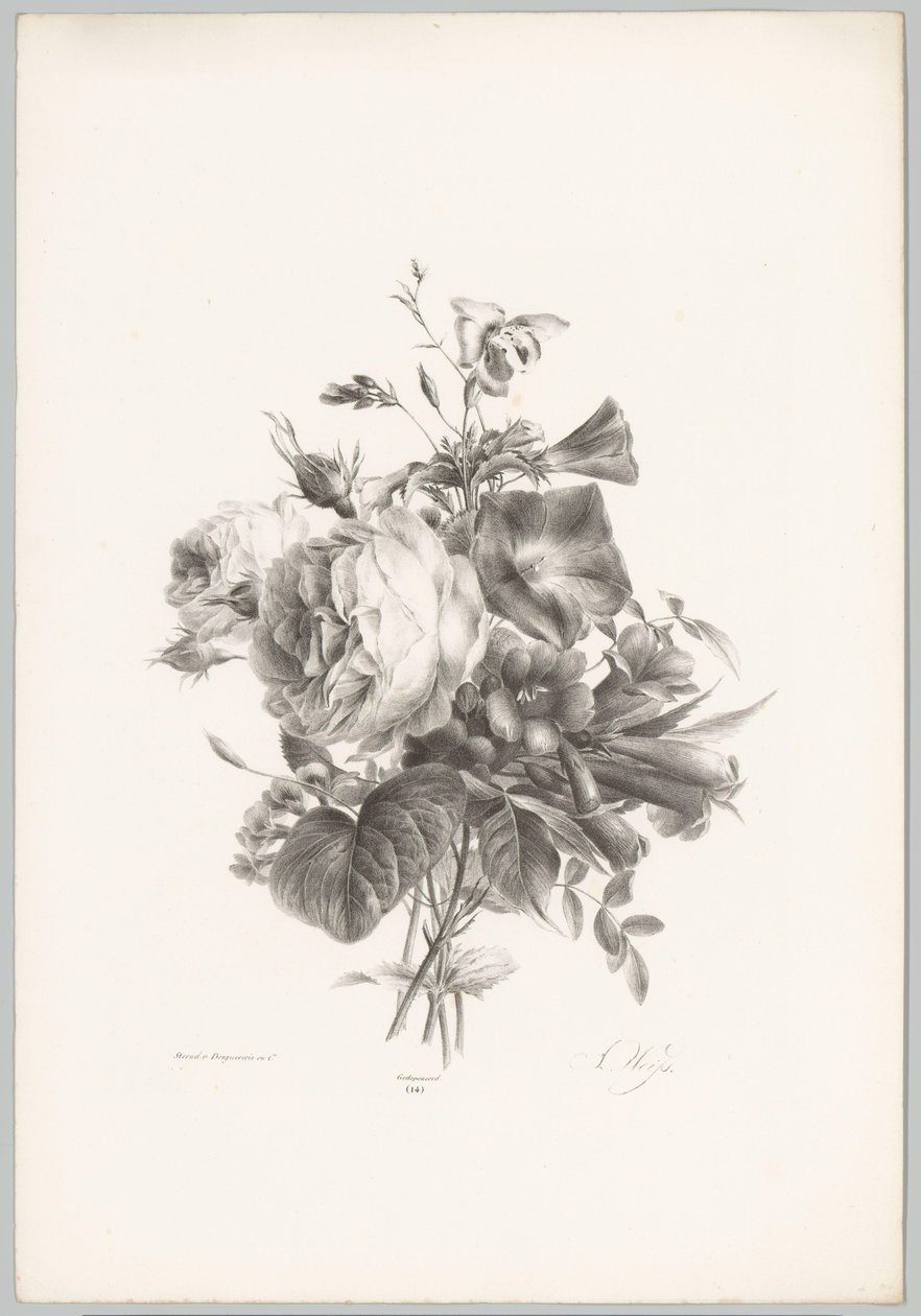 Roser og kalkformede blomster Blomster- og frugtstudier (...) 10. afsnit (serietitel) af Anton Weiss