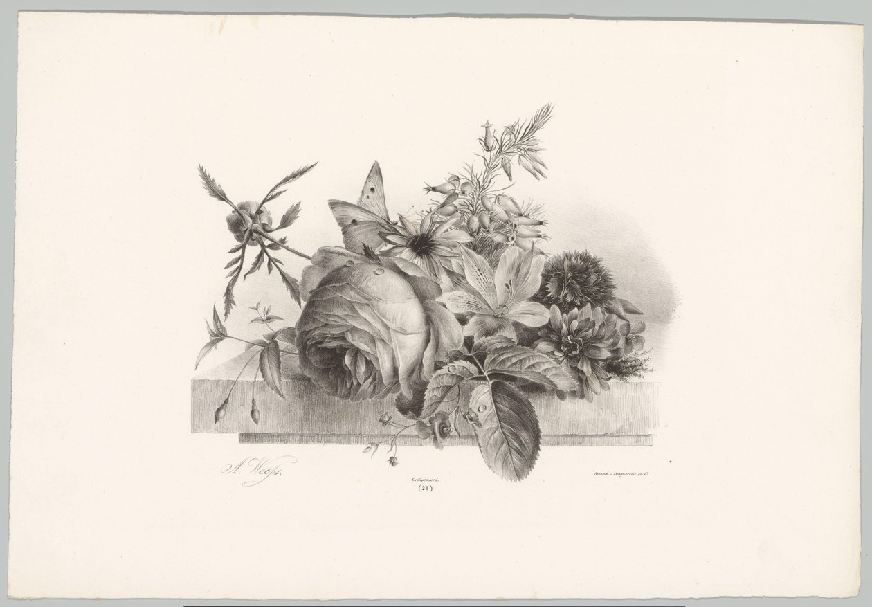 Roser, liljer, klokkeformede blomster og sommerfugl Blomster- og frugtstudier (...) 10. afsnit (serietitel) af Anton Weiss
