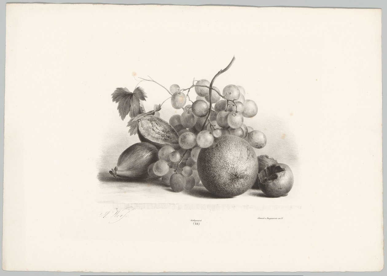 Figner, druer og appelsin Blomster- og frugtstudier (...) 10. afsnit (serietitel) af Anton Weiss