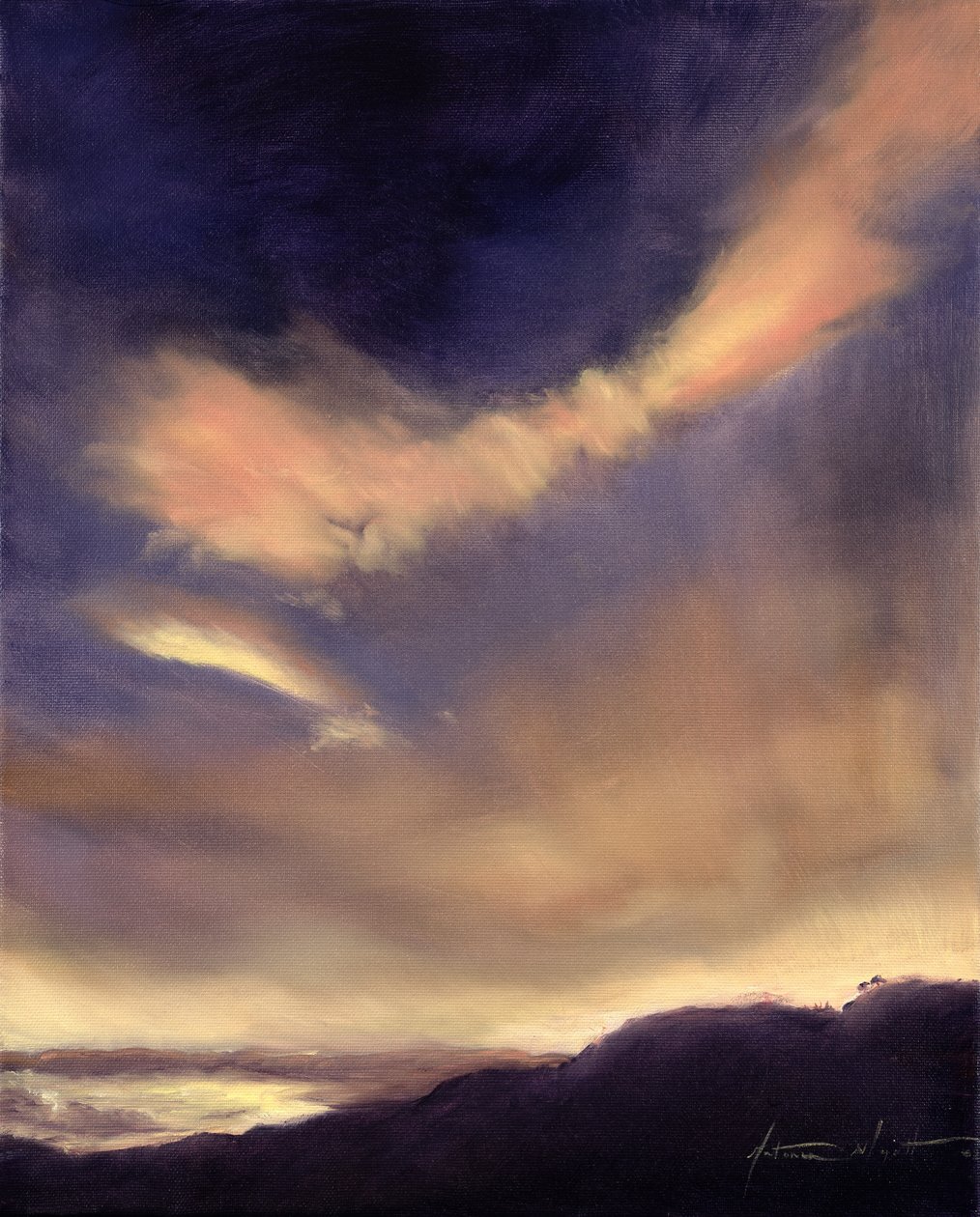Sommerfugleskyer, 2002 af Antonia Myatt