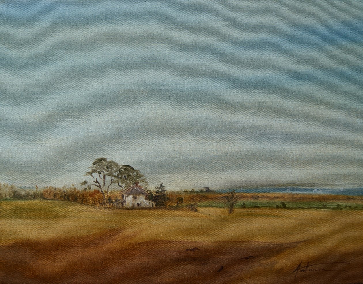Hus og marker, 2016 af Antonia Myatt