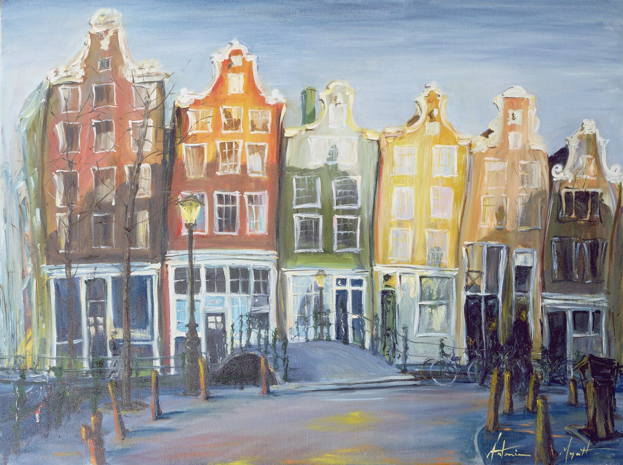 Houses of Amsterdam, 1999 af Antonia Myatt