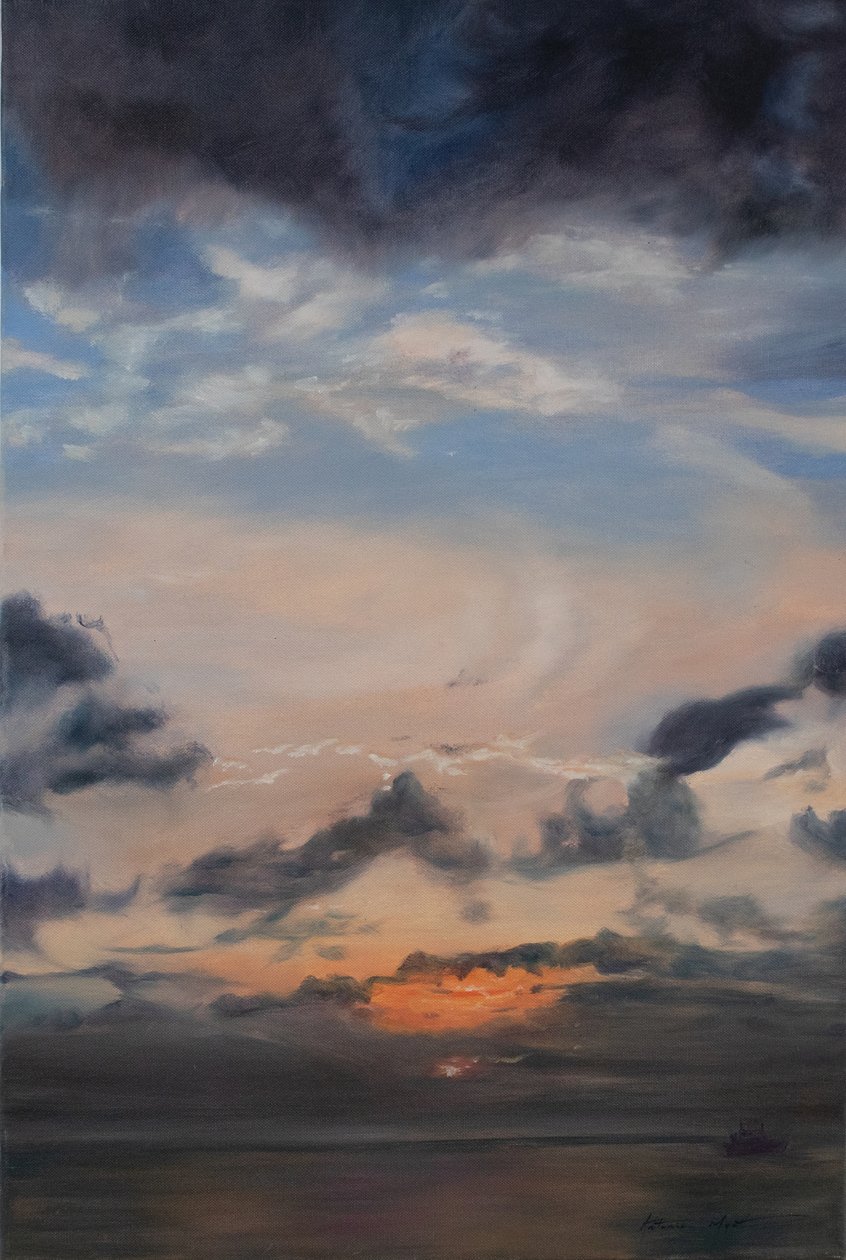 Lakseskyer, 2011 (olie på lærred) af Antonia Myatt