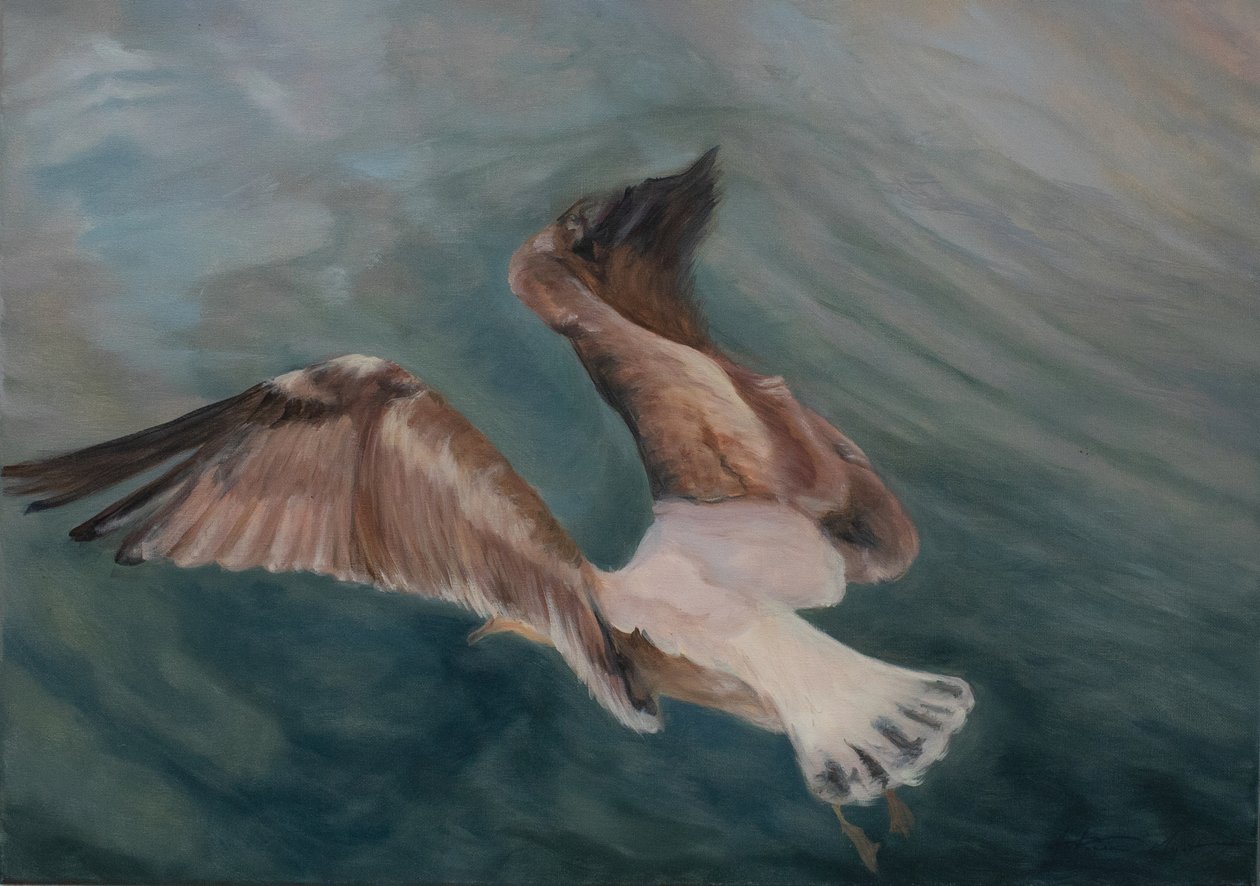 Måge kommer ind i land, 2012 (olie på lærred) af Antonia Myatt