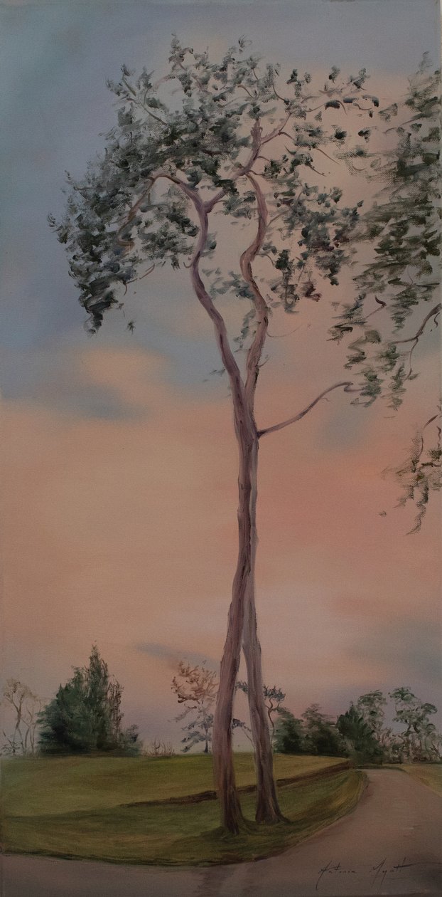 Tapeley Park træer, 2013 (olie på lærred) af Antonia Myatt
