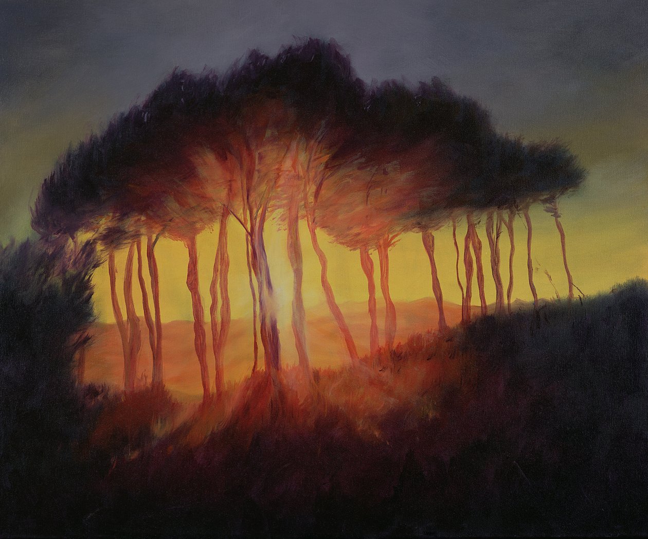 Vilde træer ved solnedgang, 2002 af Antonia Myatt