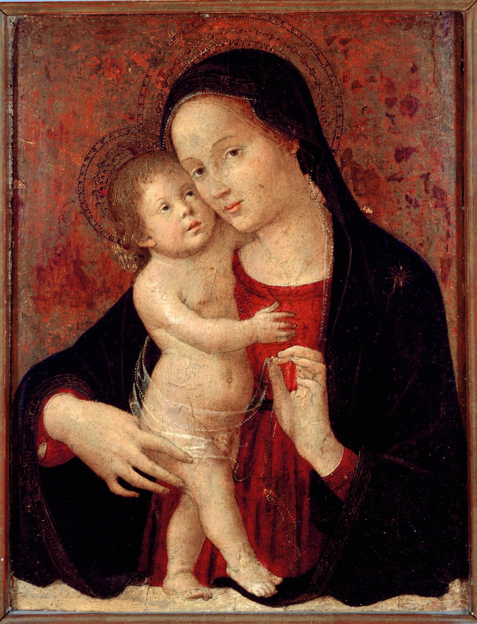 Jomfru og børnemaleri på træ af Antonio Aquili dit Antoniazzo Romano (aktivt omkring 1461-1508) søn. 46x37 gener, Galleria di Palazzo Bianco af Antoniazzo Romano
