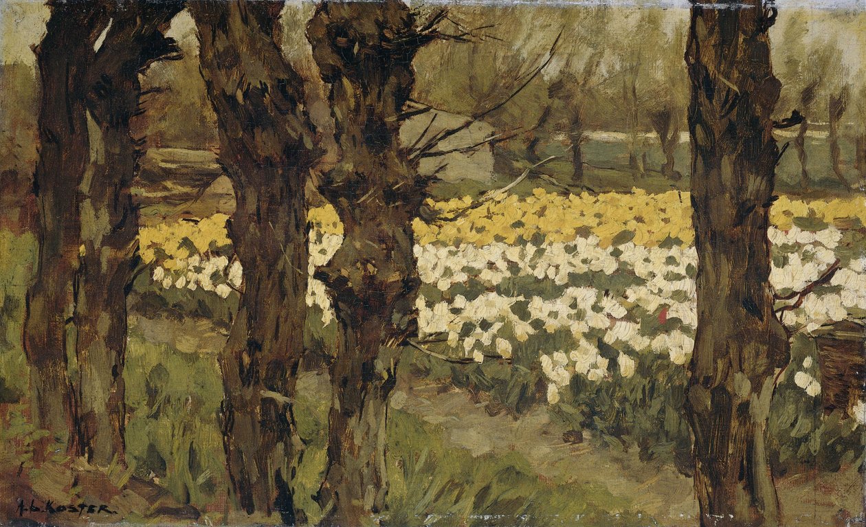 Tulipanmarker af Antonie Louis Koster