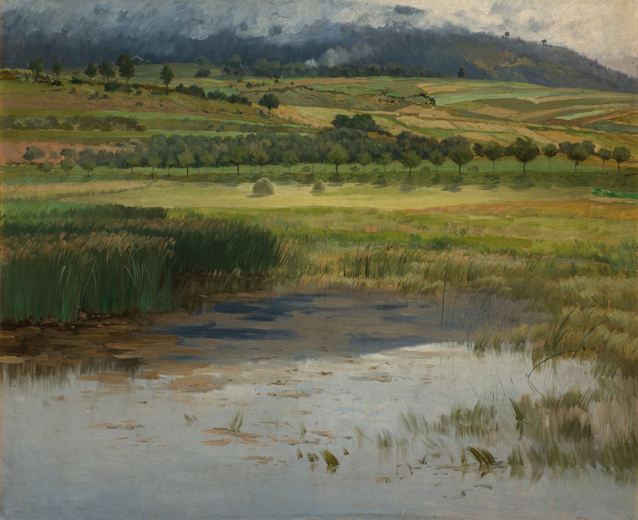 Den druknede dam, 1887 af Antonin Chittussi