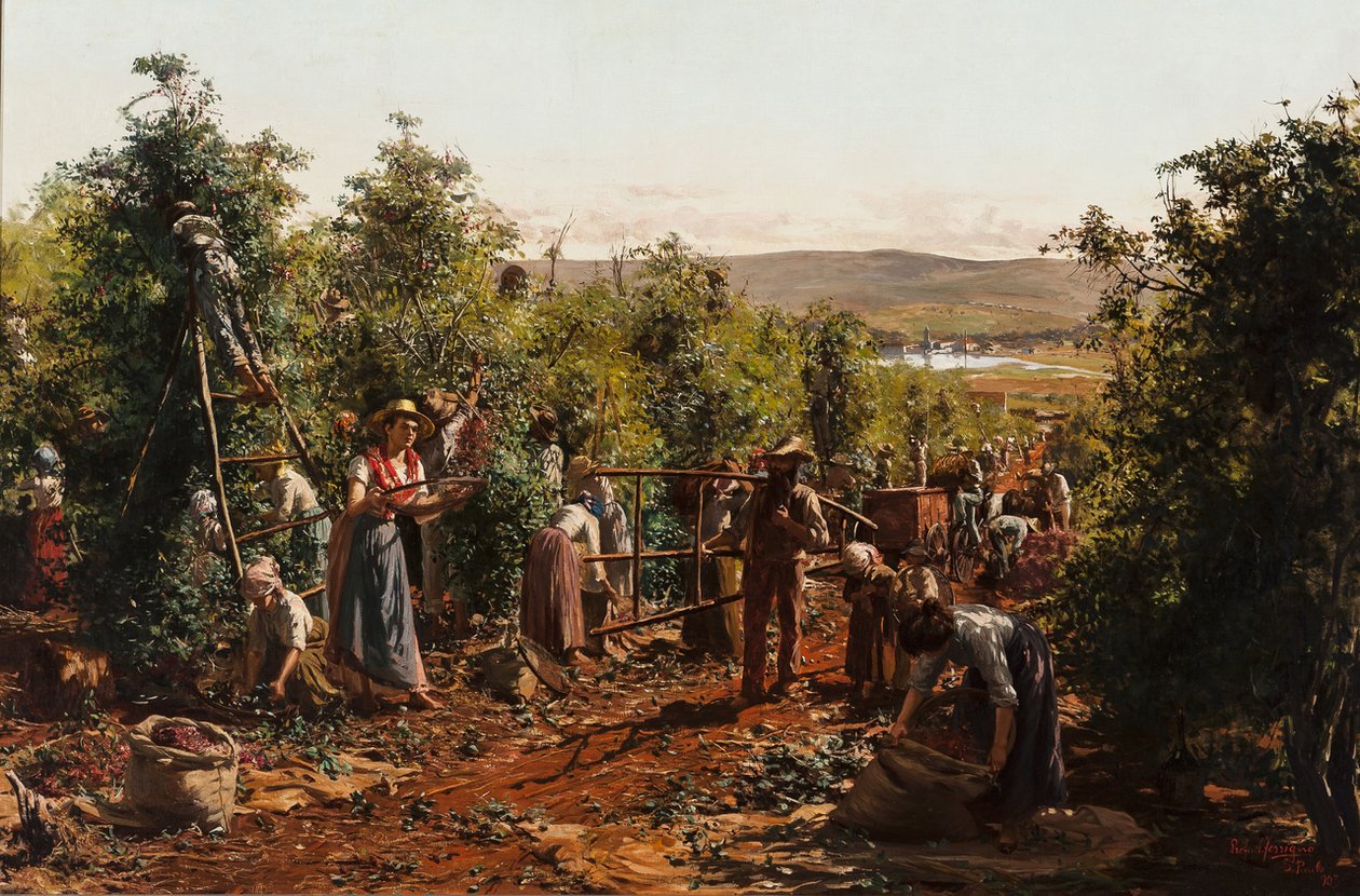 Høsten, Fazenda Santa Gertrudes - Araras, SPn af Antonio Ferrigno