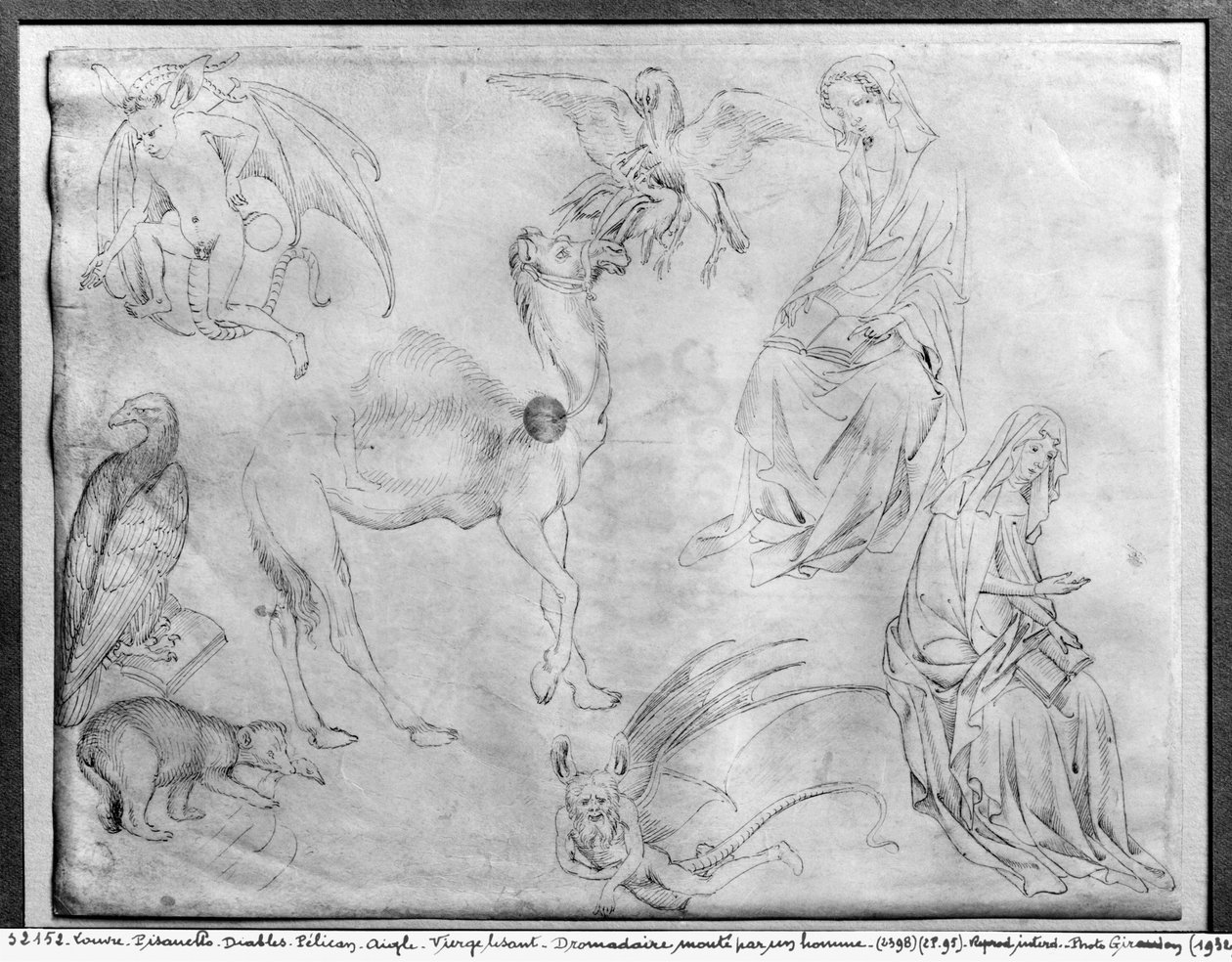 Studieark fra The Vallardi Album af Antonio Pisanello