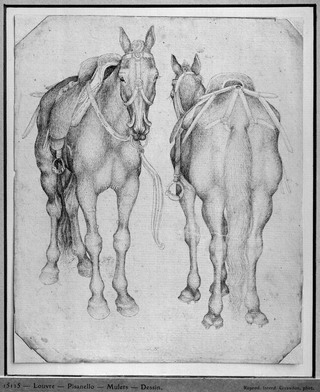 To heste fra The Vallardi Album af Antonio Pisanello