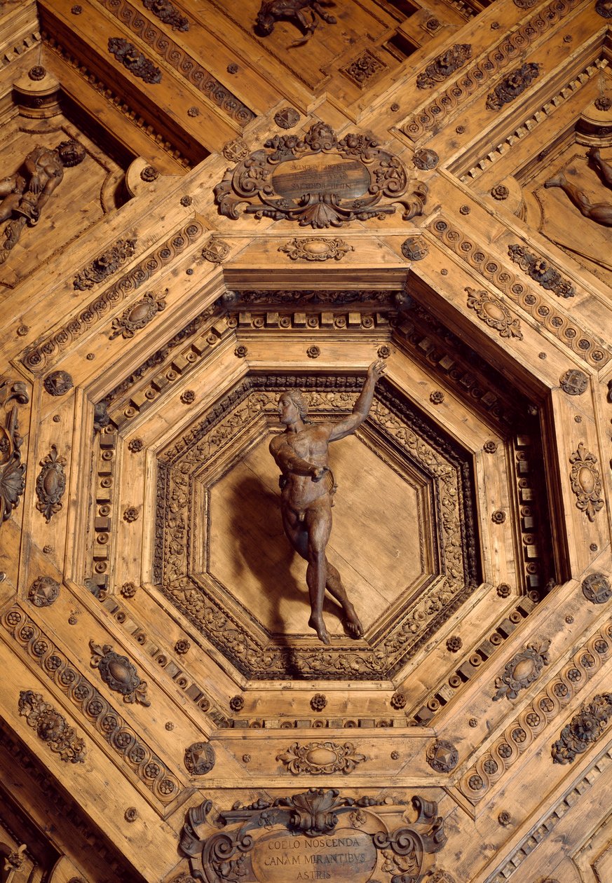 Apollo, beskytter af medicinen. Detalje af træloftet i det anatomiske teater af Antonio (d.1663) Paolucci