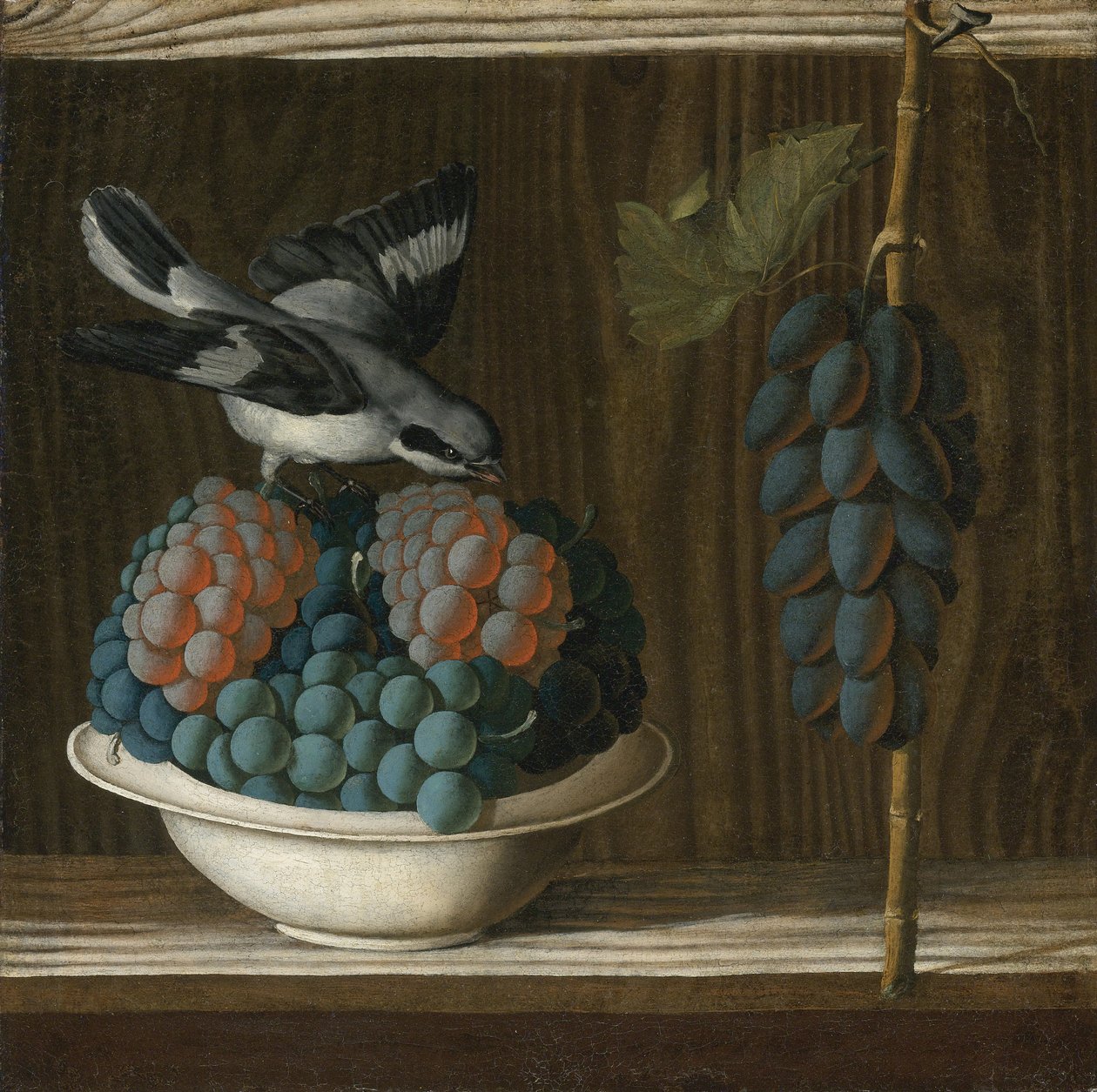 Stilleben med druer og et gråt Shrike (Allegory of Painting) af Leonelli (da Crevalcore), Antonio (ca. 1450-før 1525). Olie på lærred, størrelse: 40x39,7, ca. 1500, Privat af Antonio (fl.1478 1513) Leonelli