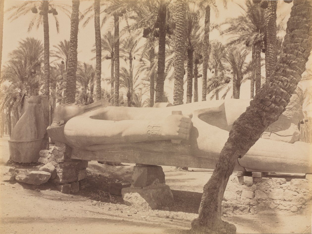 Statue af Ramses ved Saqqara, ca. 1870