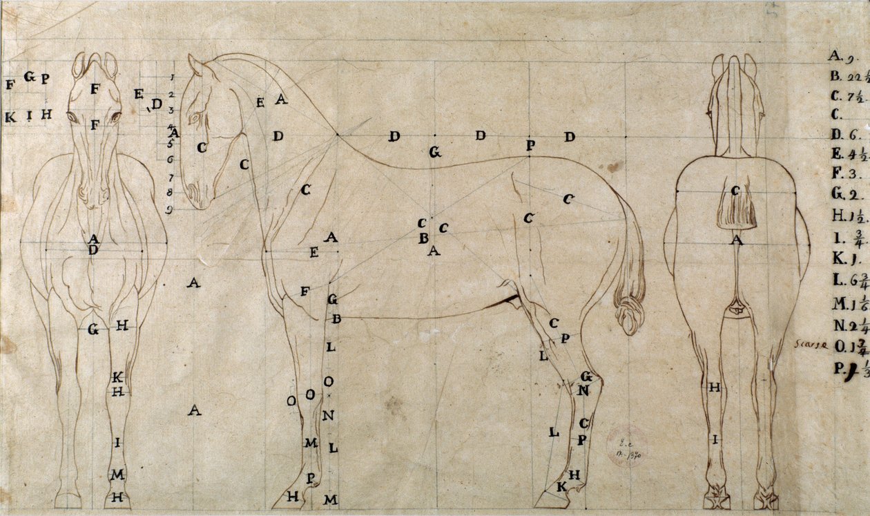 Studie til en hest til et ridemonument (tegning af Antonio Canova
