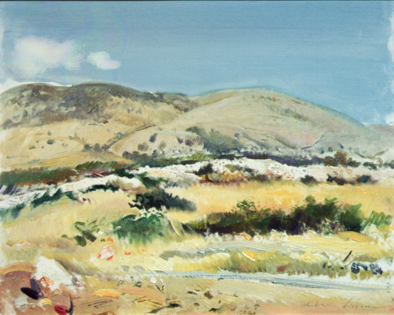 Gargano, 1981 af Antonio Ciccone