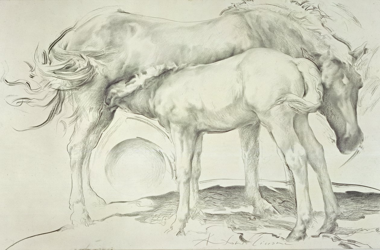 Horses at Coolmore, 1990 (kul på papir) af Antonio Ciccone