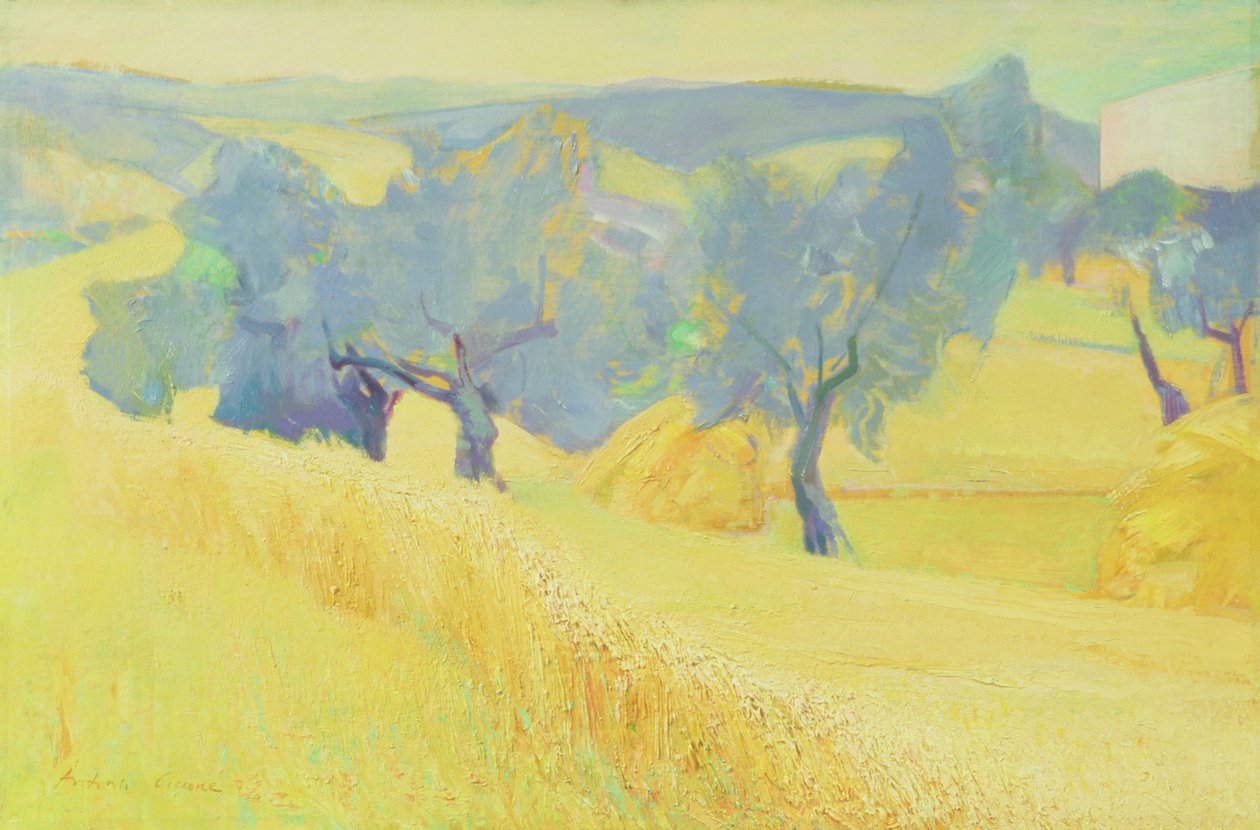 Oliventræer i Toscana, 1966 af Antonio Ciccone