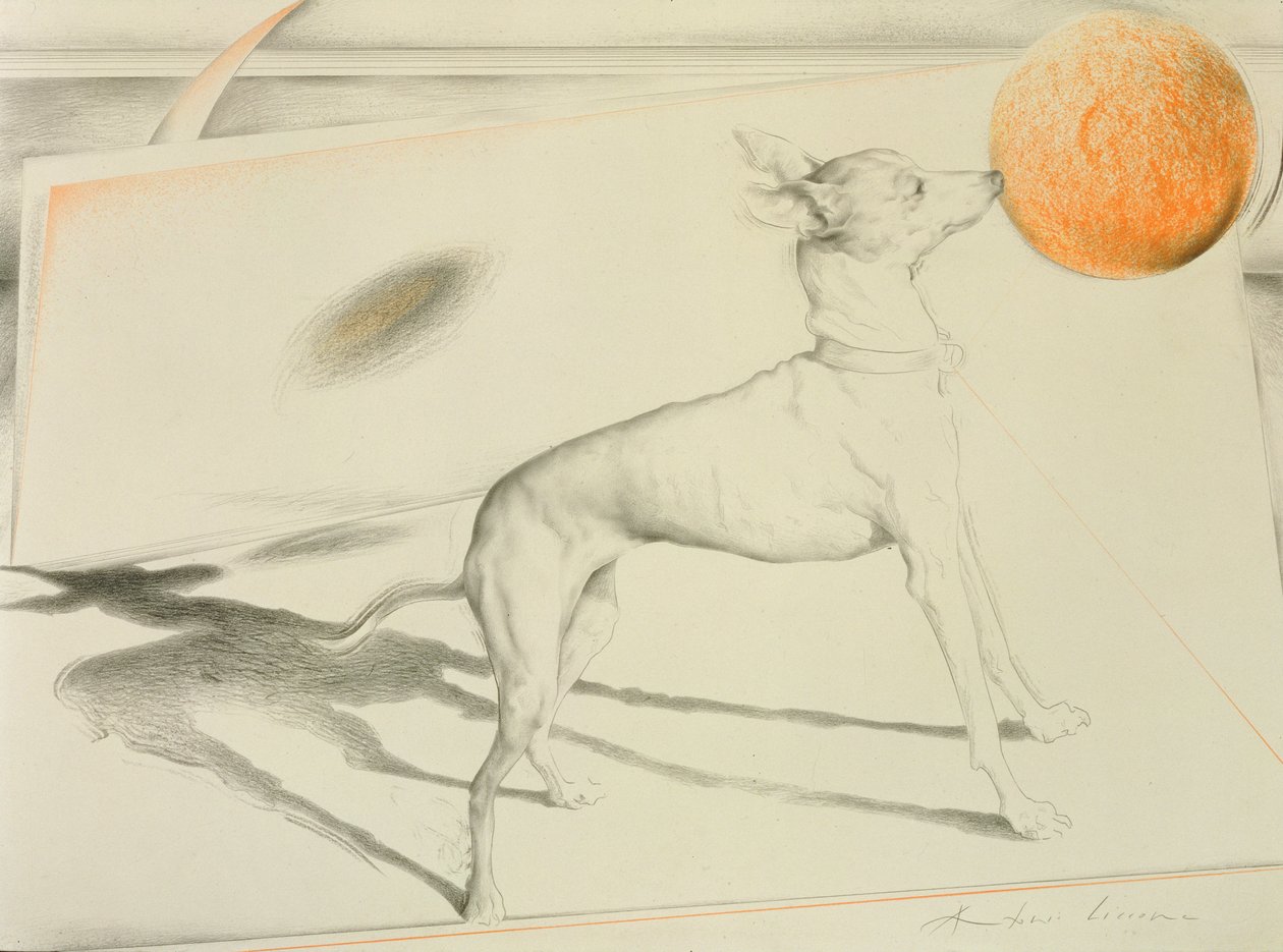 Space Dog (kul og pastel på papir) af Antonio Ciccone