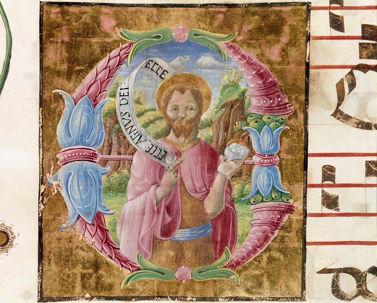 Sankt Johannes Døberen Lettrine belyst af Antonio Cicognari. Detalje af et antifonar. 1483. Cremone, kor 4, domkirkens kapitel af Antonio Cicognara